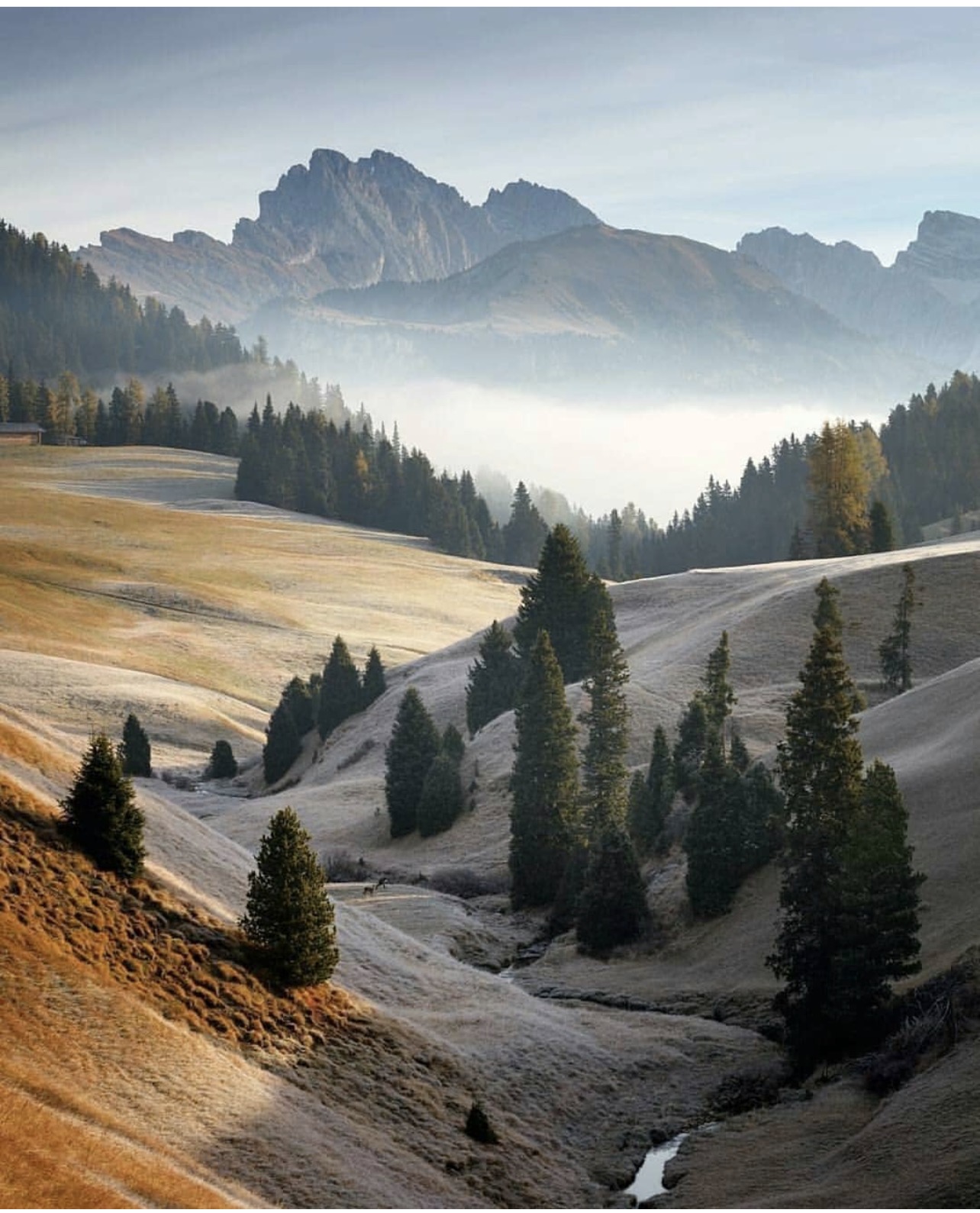 The Rise of Conscious Travel: Why How You Travel Matters